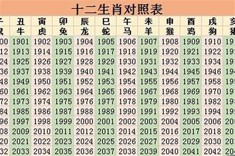 2023年属|2023年是什么生肖年